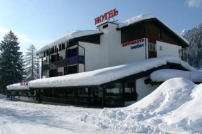 Hotel Davost